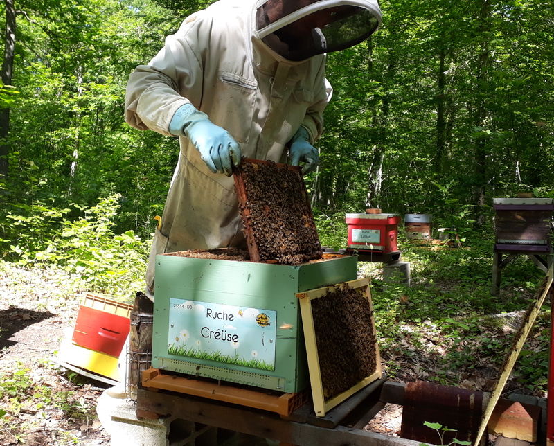 La ruche Créüse