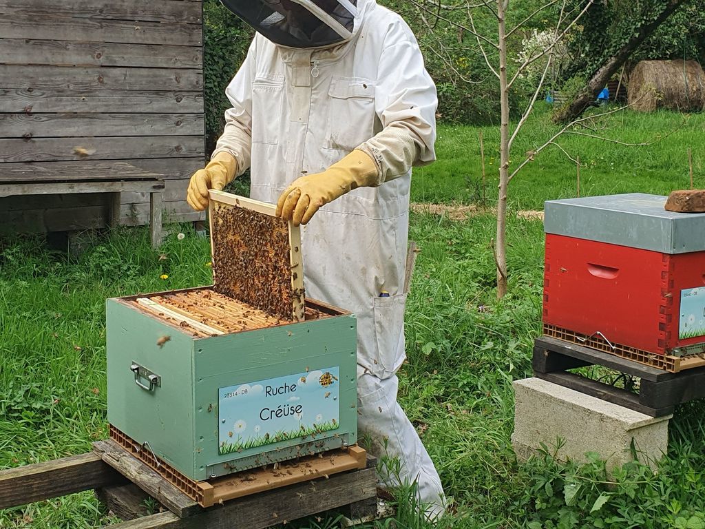 La ruche Créüse
