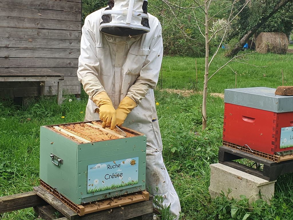 La ruche Créüse