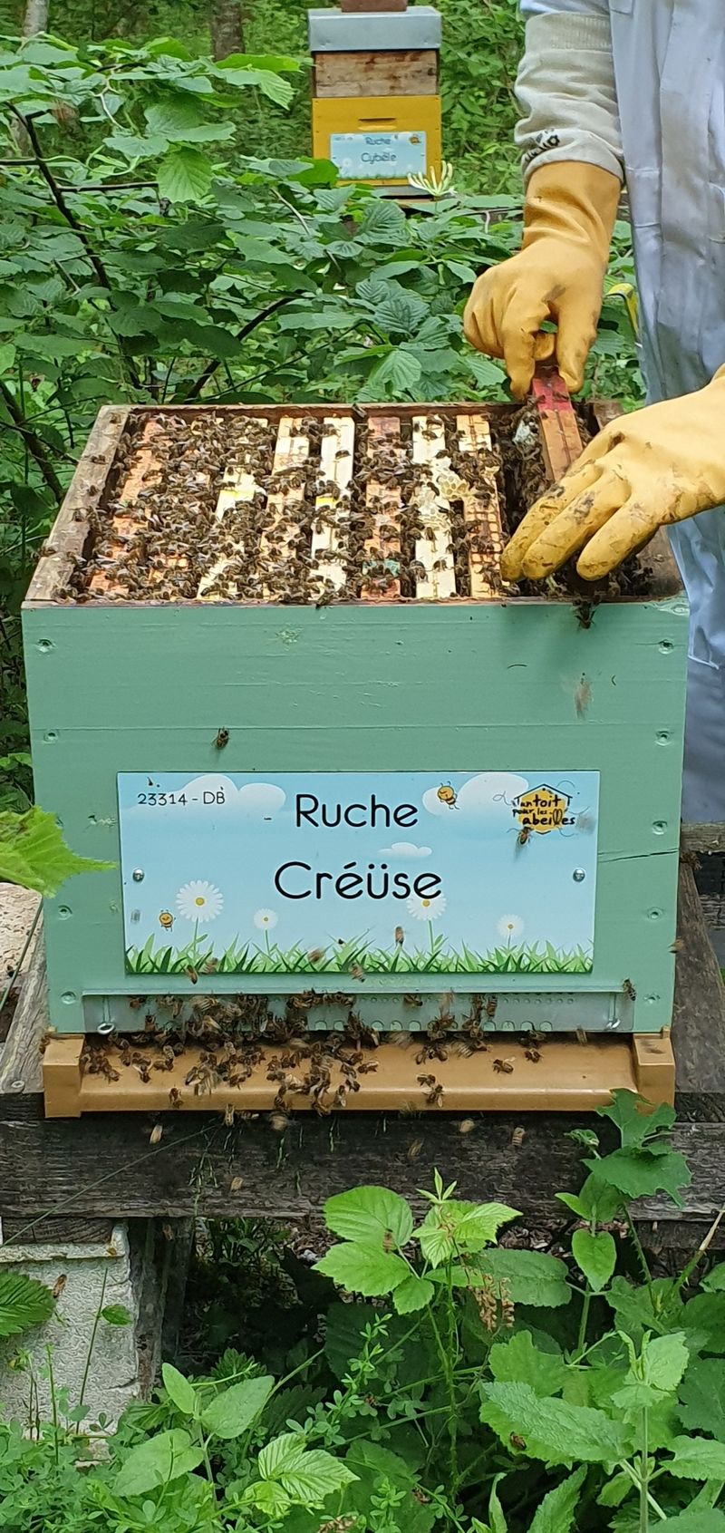 La ruche Créüse