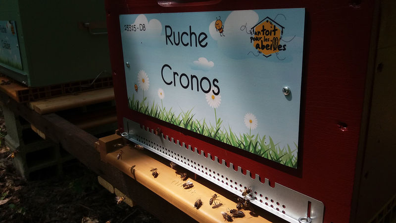 La ruche