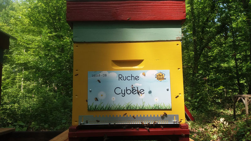 La ruche