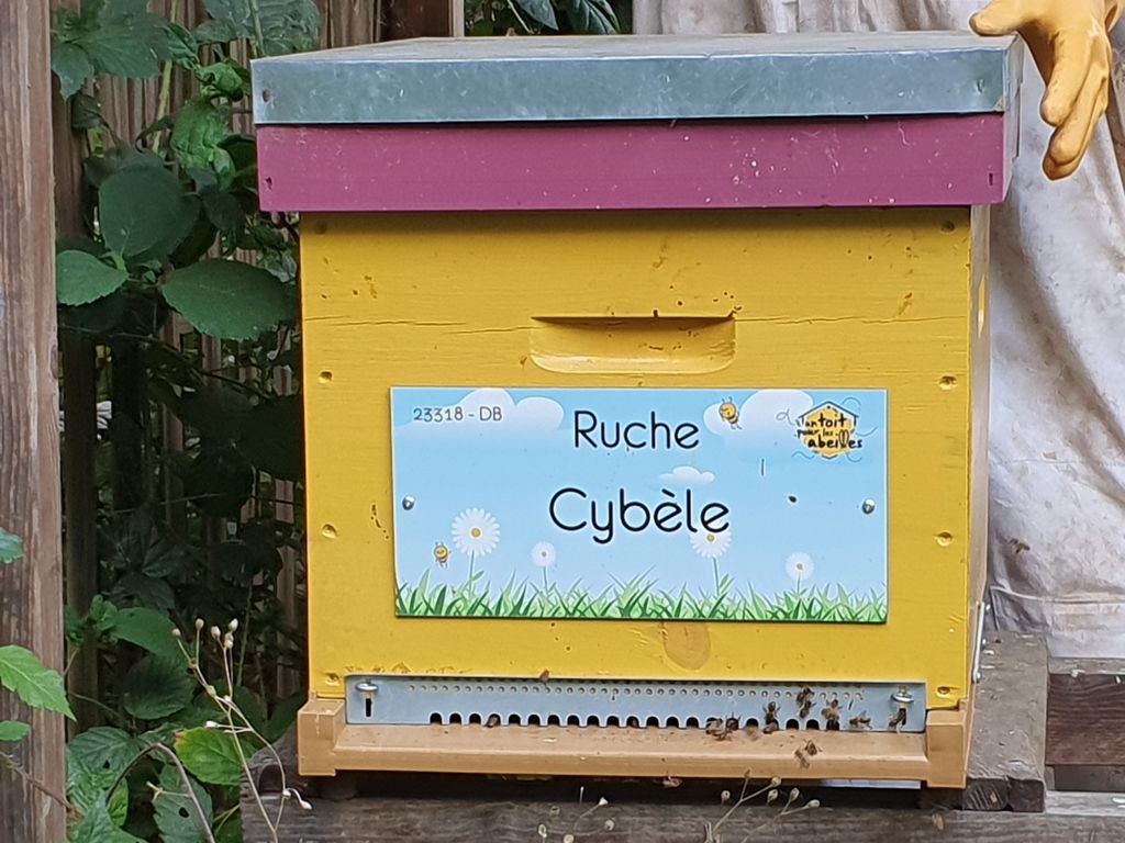 La ruche Cybèle