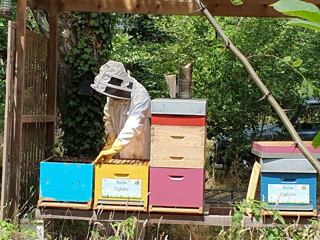 La ruche Cybèle