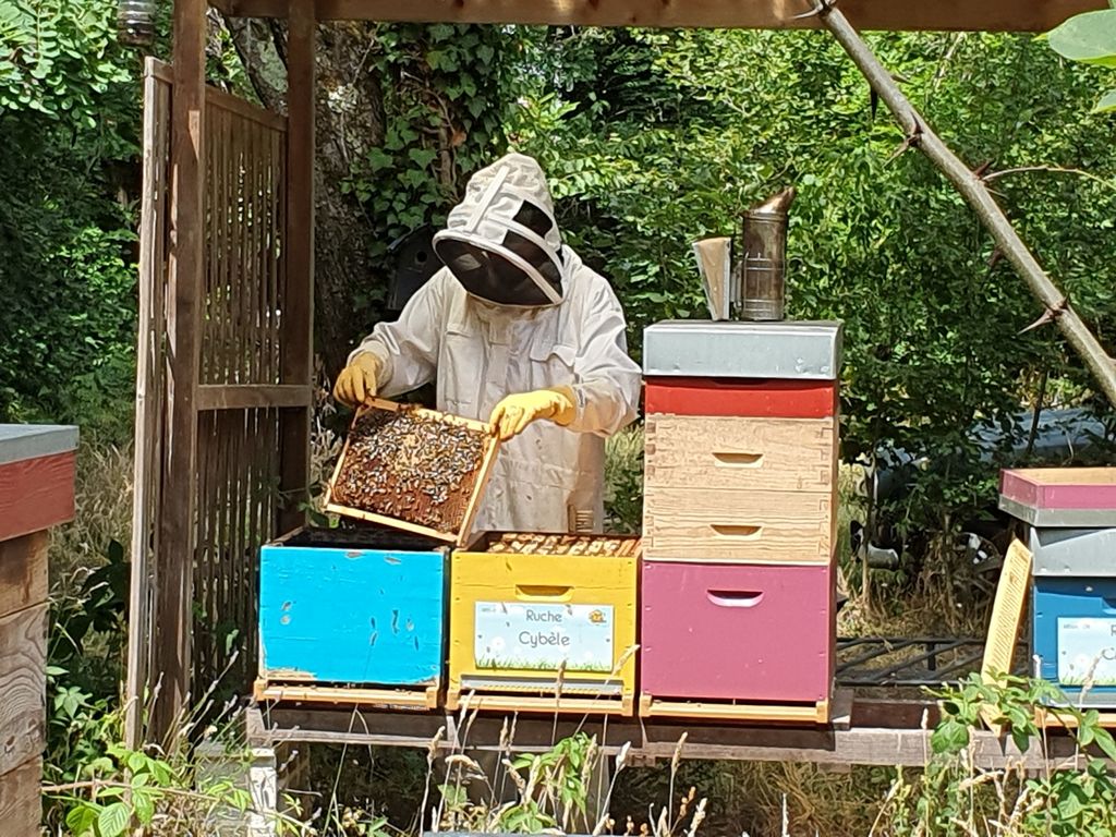 La ruche Cybèle
