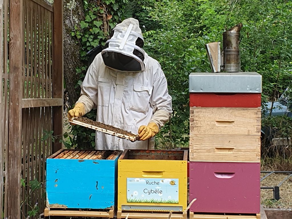 La ruche Cybèle