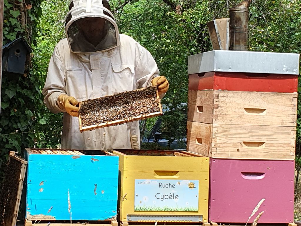 La ruche Cybèle