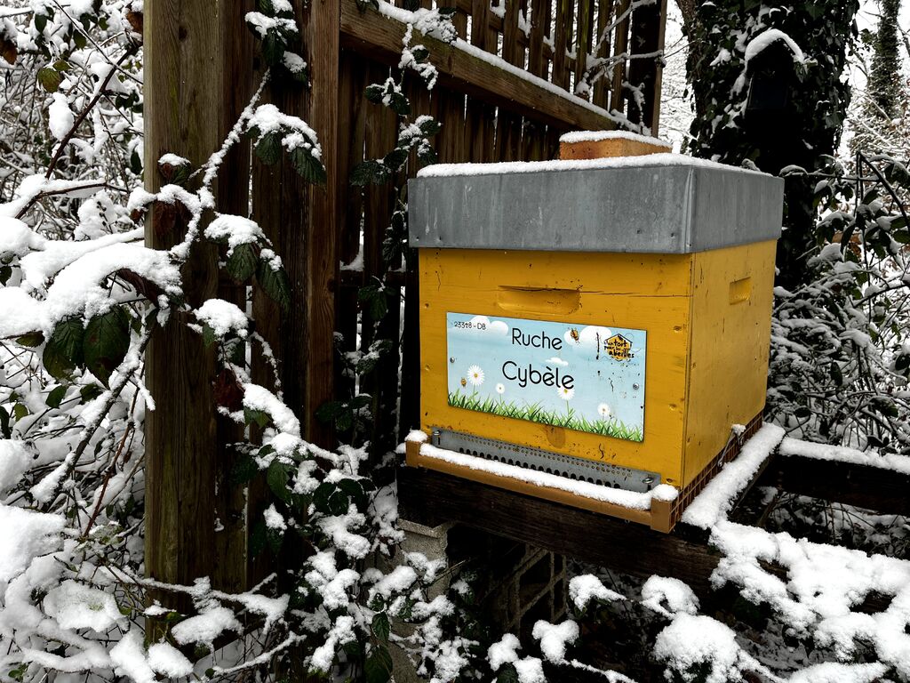 La ruche Cybèle