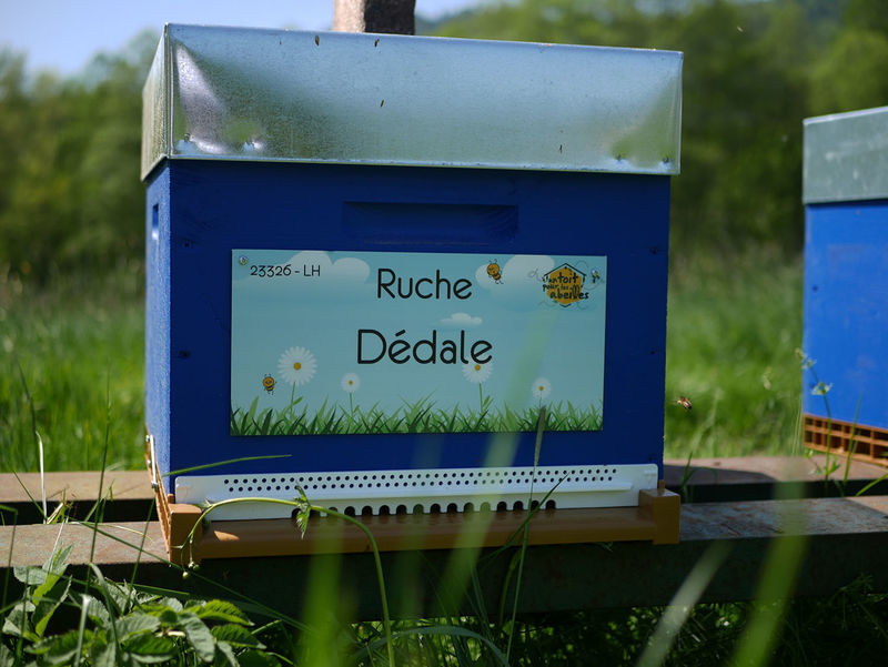 La ruche