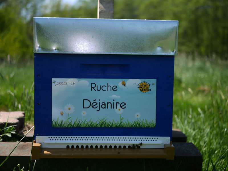 La ruche