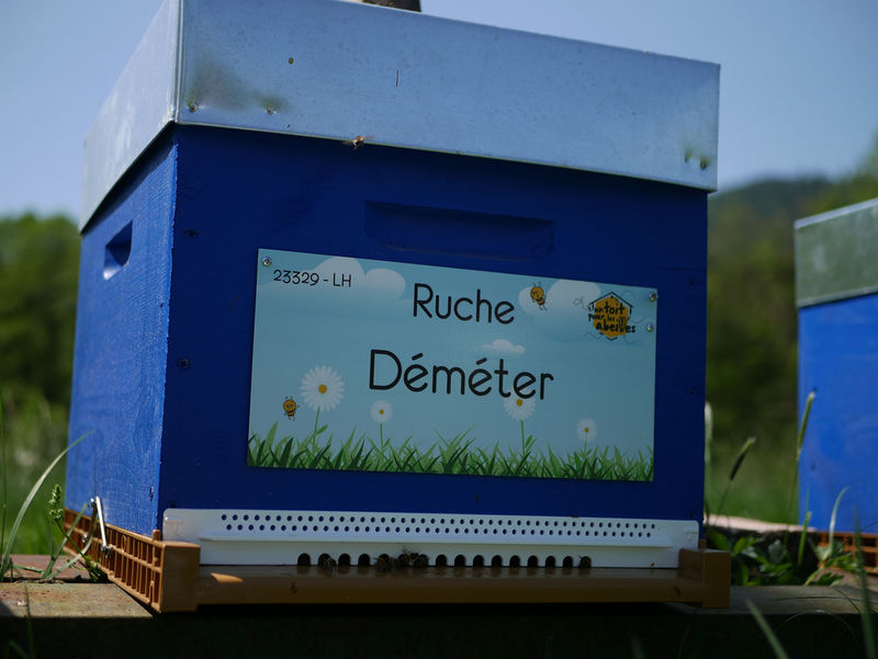 La ruche