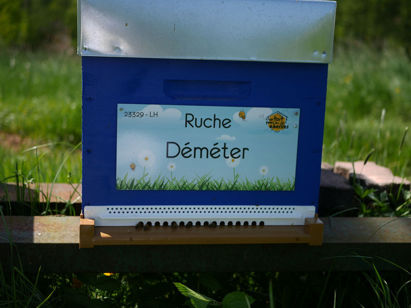 La ruche Déméter