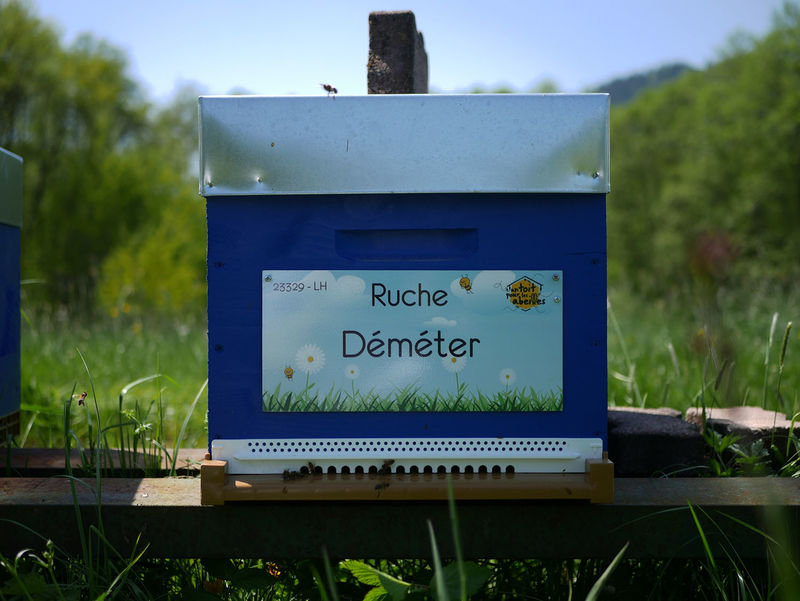 La ruche Déméter