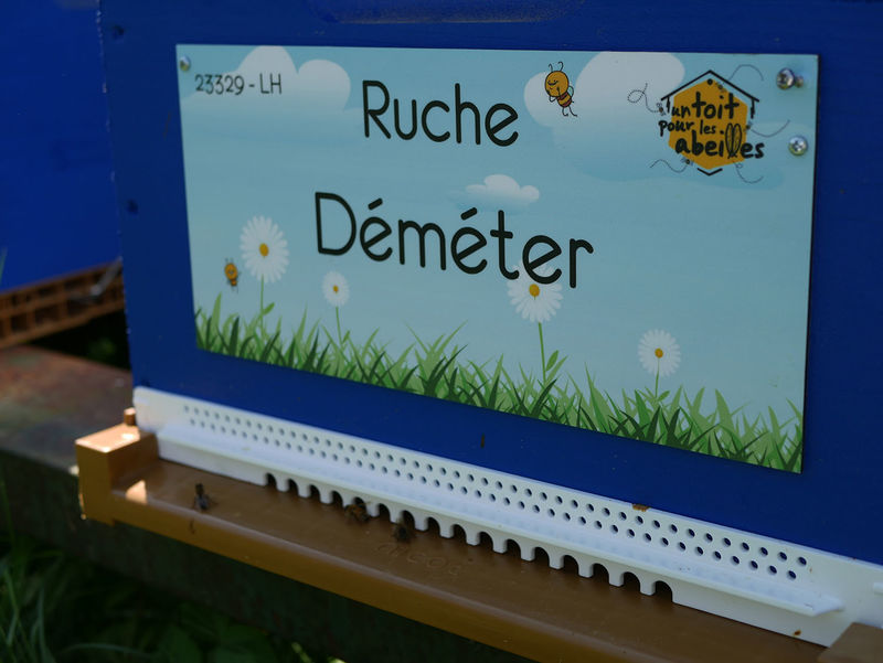 La ruche Déméter