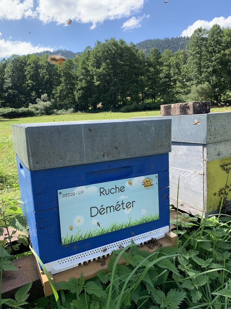 La ruche Déméter