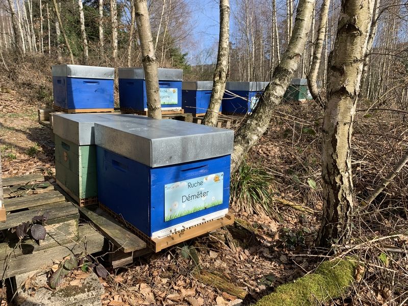La ruche Déméter