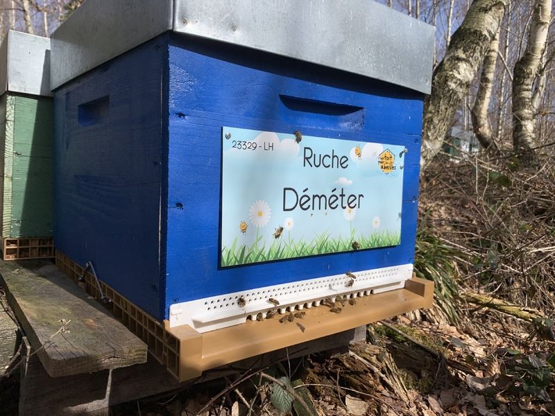 La ruche Déméter