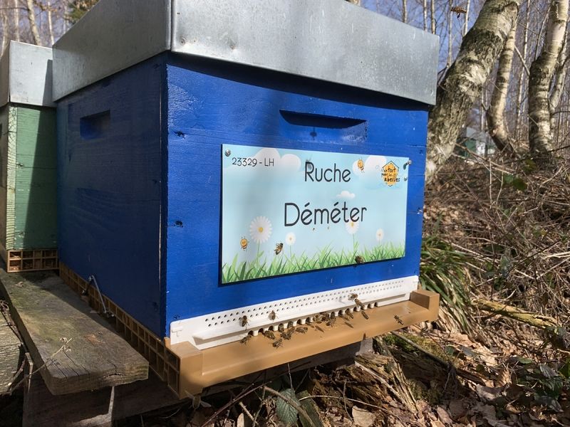 La ruche Déméter