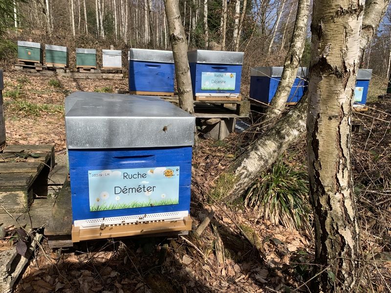 La ruche Déméter