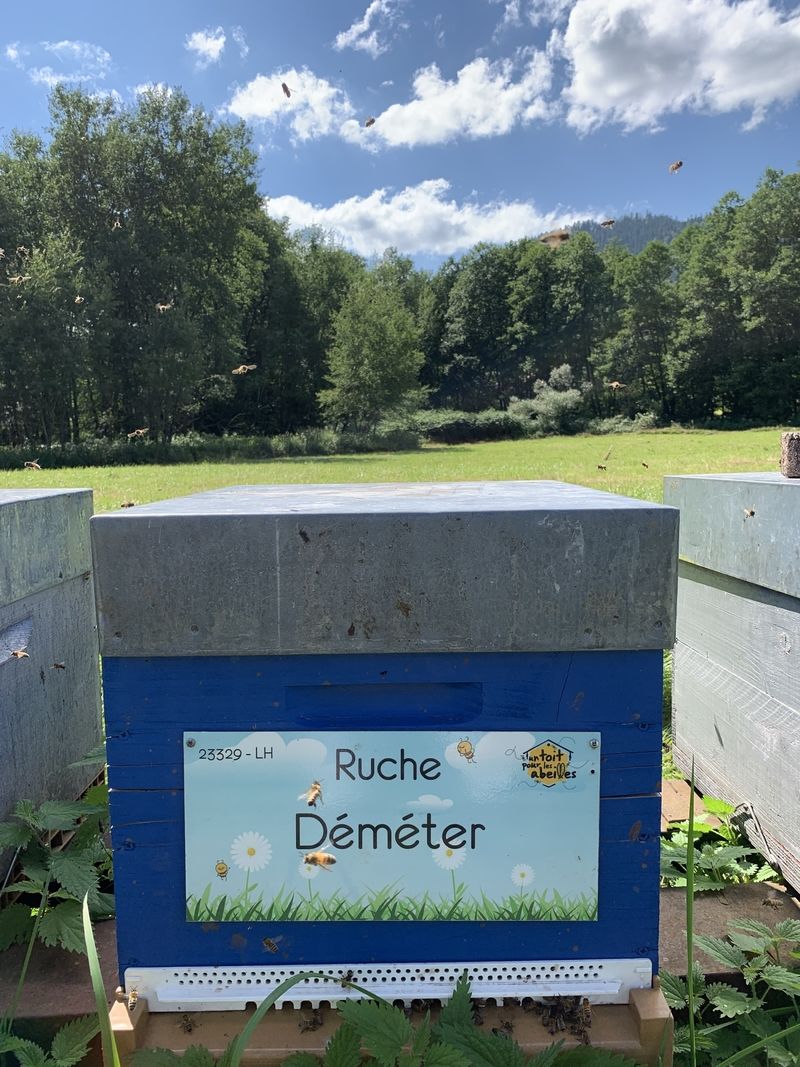 La ruche Déméter