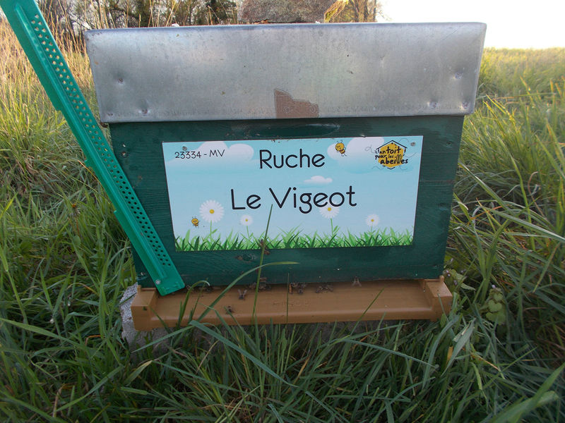 La ruche Le Vigeot