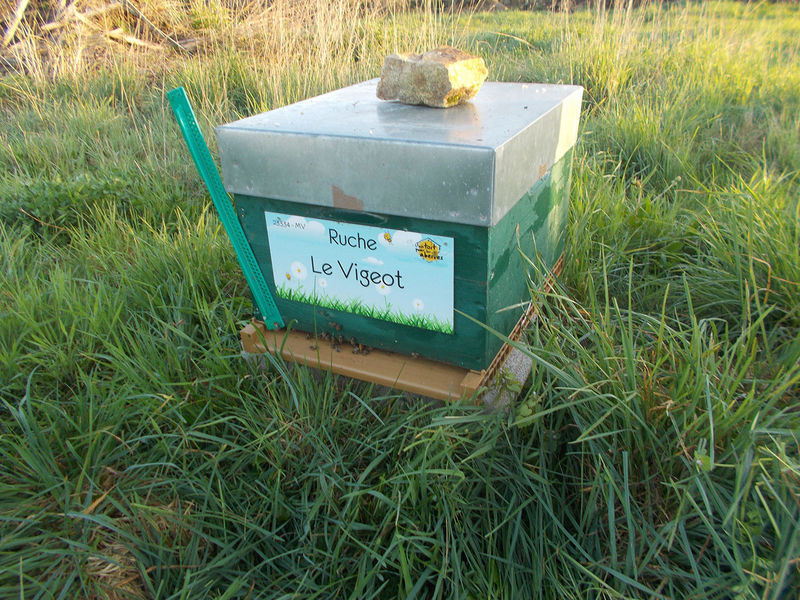 La ruche Le Vigeot