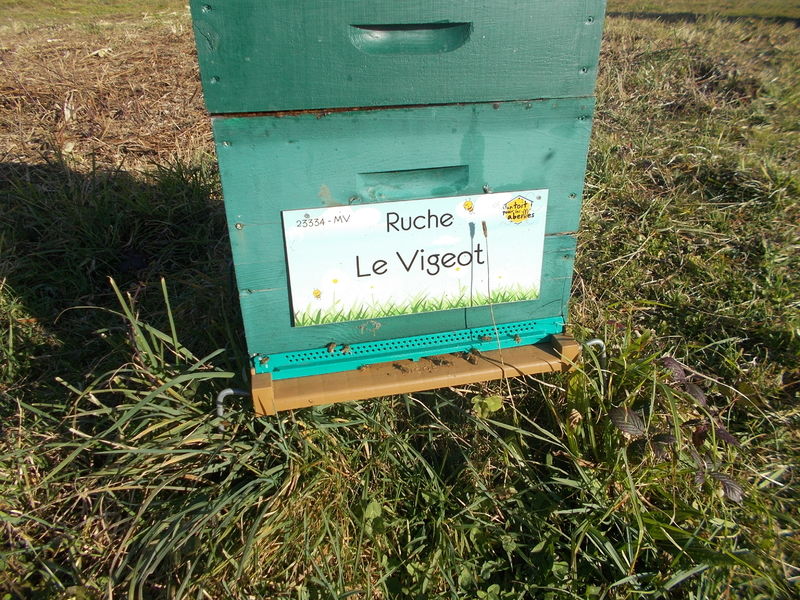 La ruche Le Vigeot