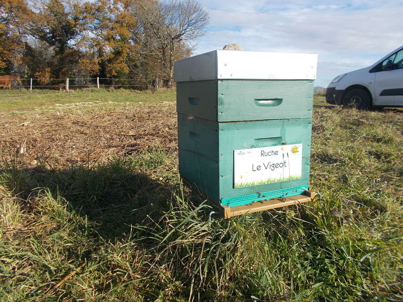 La ruche Le Vigeot