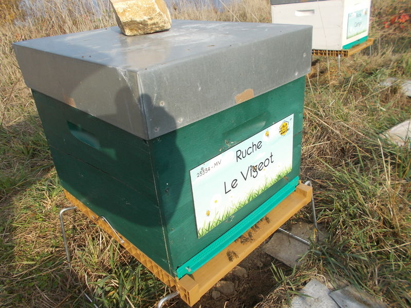 La ruche Le Vigeot