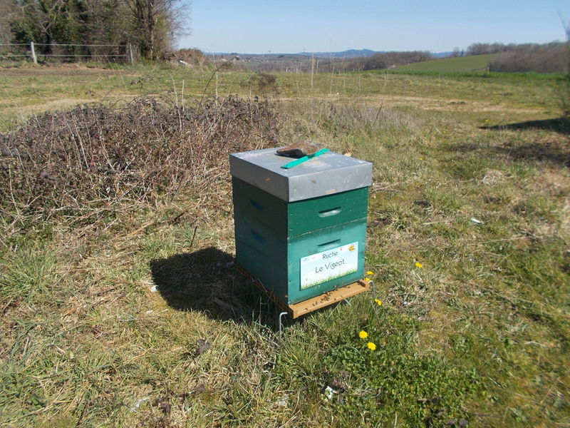La ruche Le Vigeot