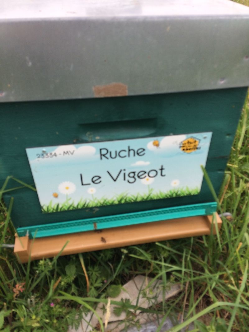 La ruche Le Vigeot