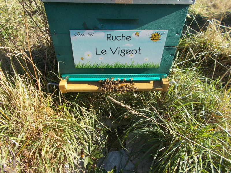 La ruche Le Vigeot