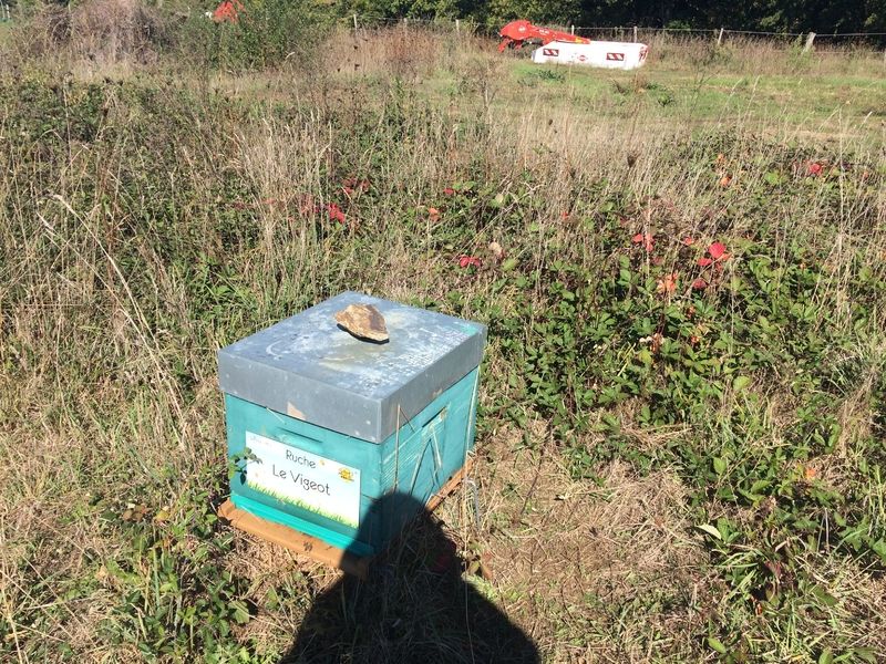 La ruche Le Vigeot