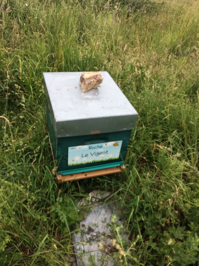 La ruche Le Vigeot