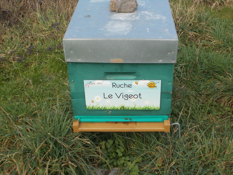 La ruche Le Vigeot