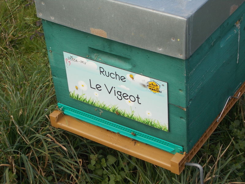 La ruche Le Vigeot