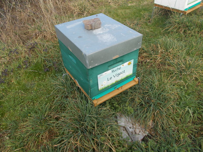 La ruche Le Vigeot