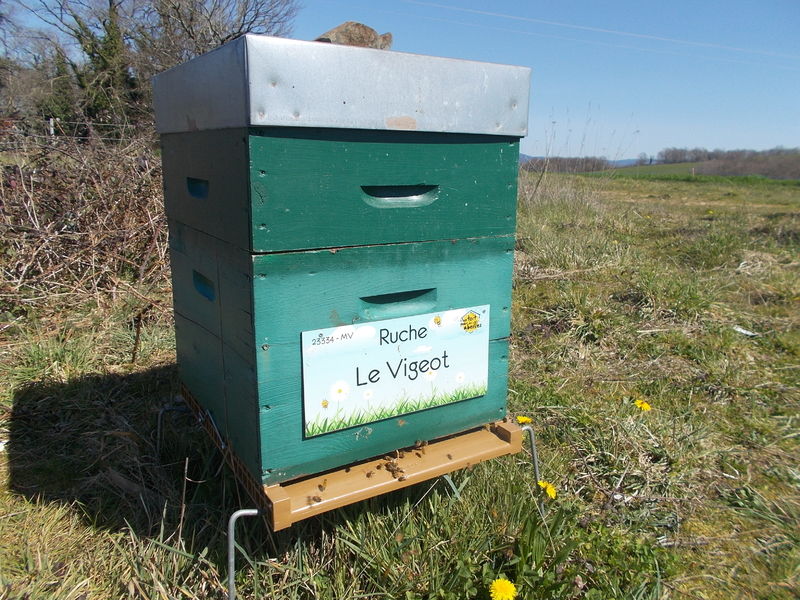 La ruche Le Vigeot