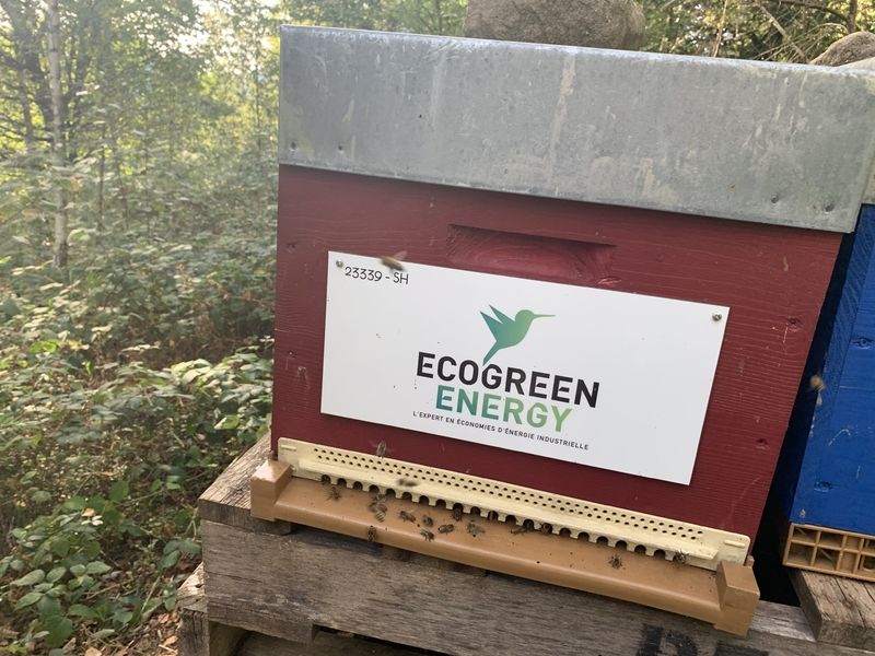 La ruche Ecogreenenergy