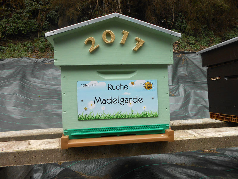 La ruche Madelgarde