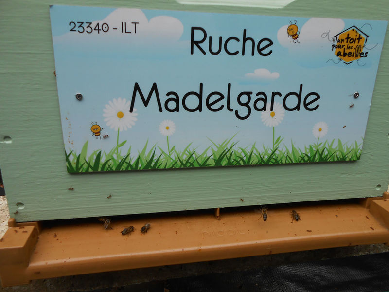 La ruche Madelgarde