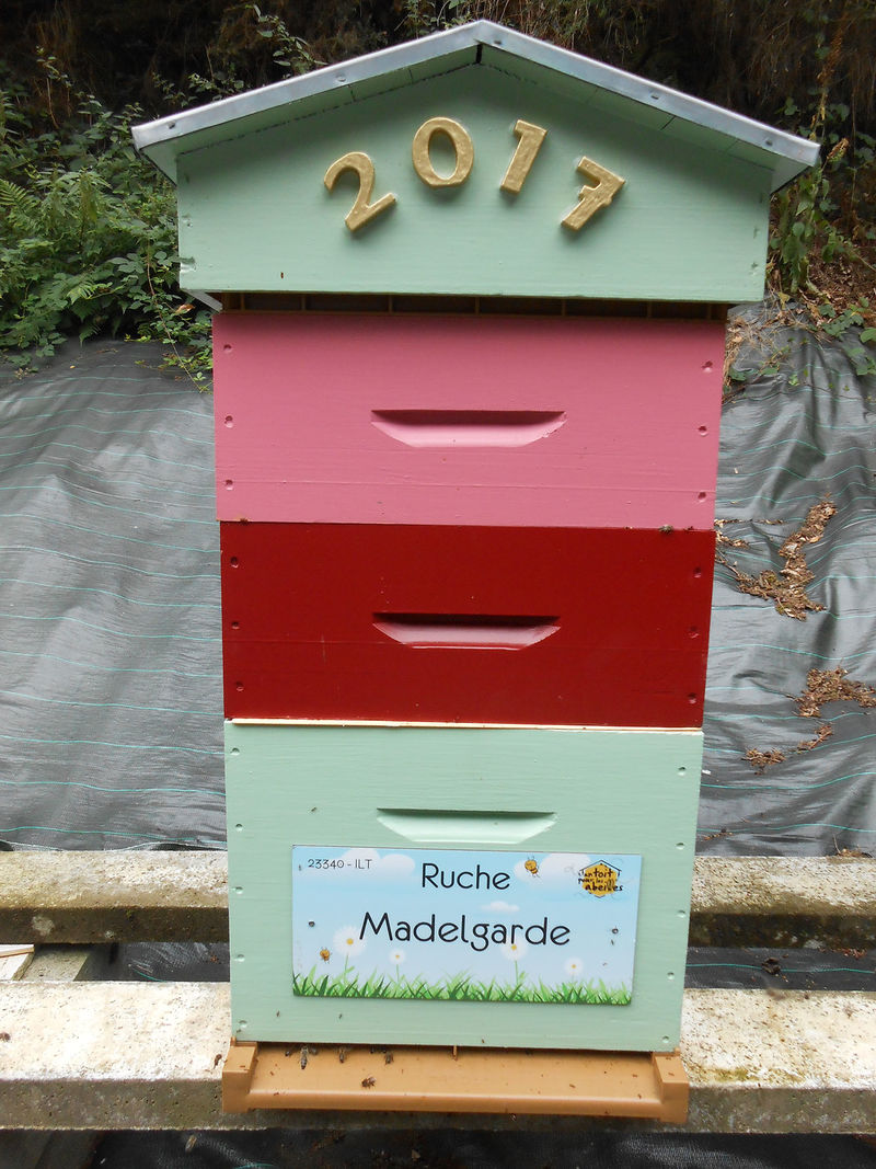 La ruche Madelgarde