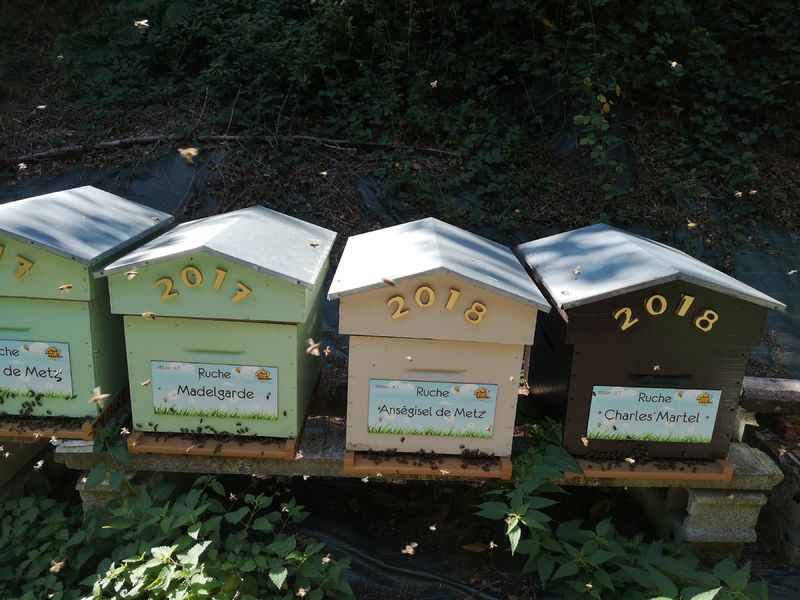 La ruche Madelgarde