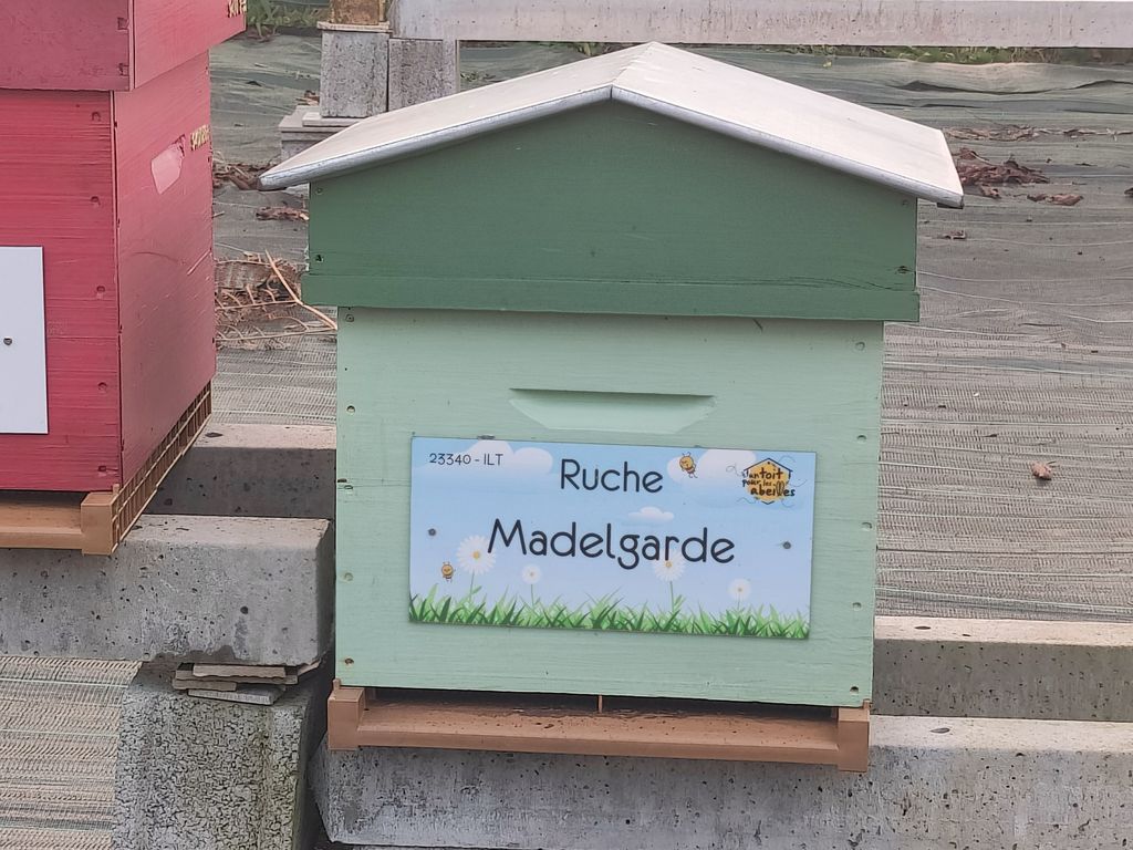 La ruche Madelgarde