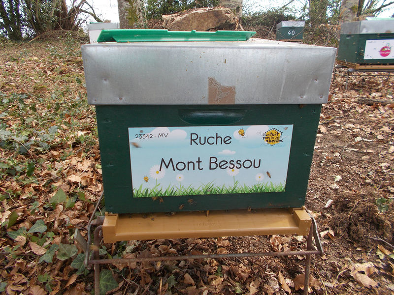 La ruche Mont Bessou