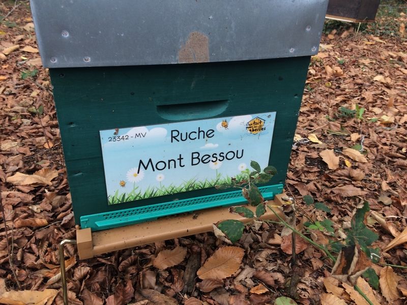 La ruche Mont Bessou