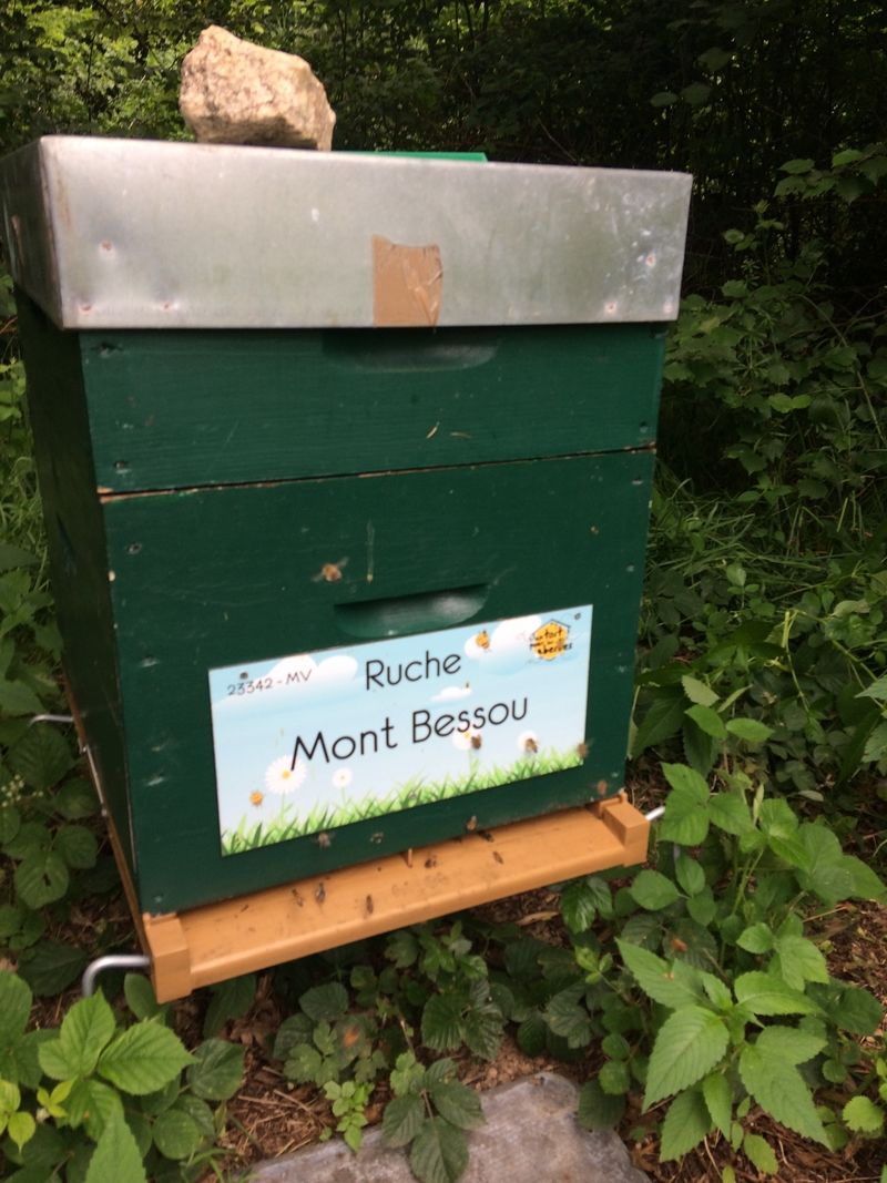 La ruche Mont Bessou
