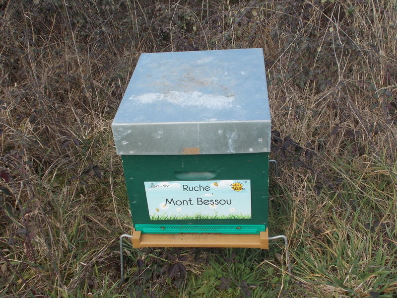 La ruche Mont Bessou