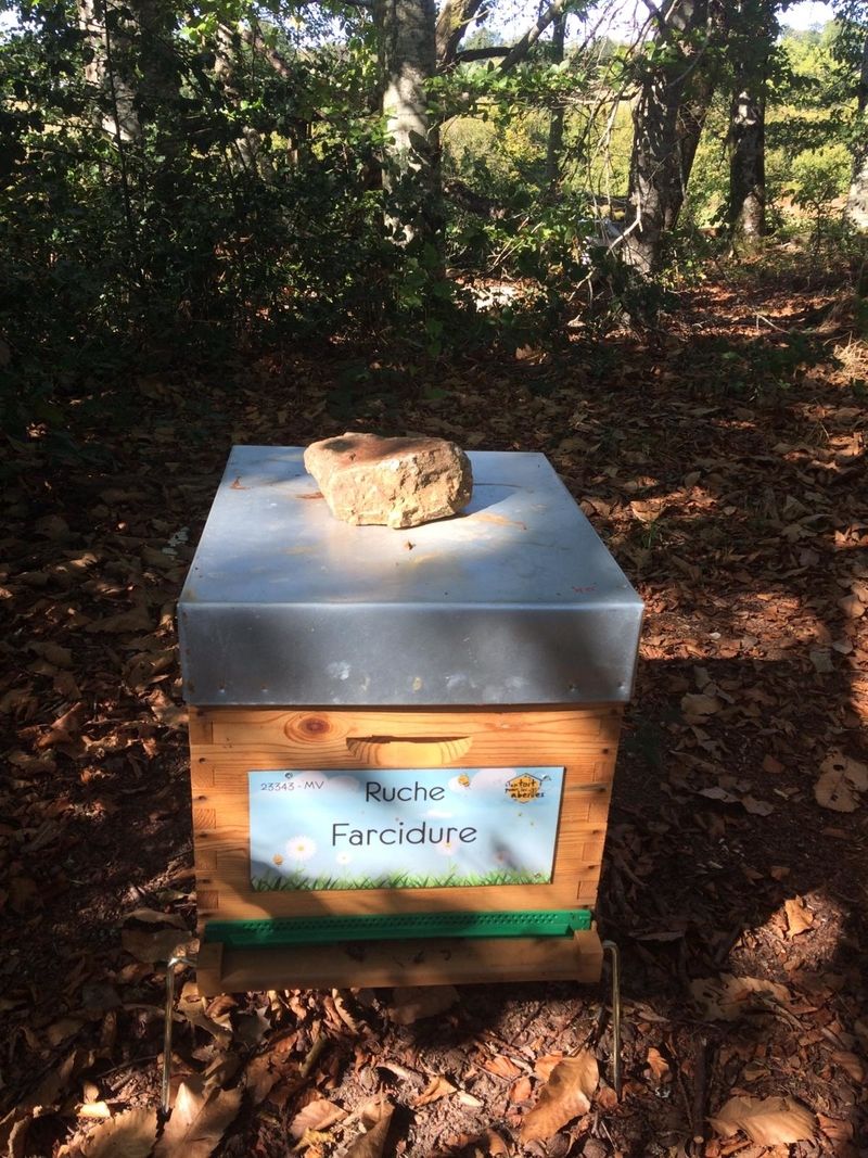 La ruche Farcidure