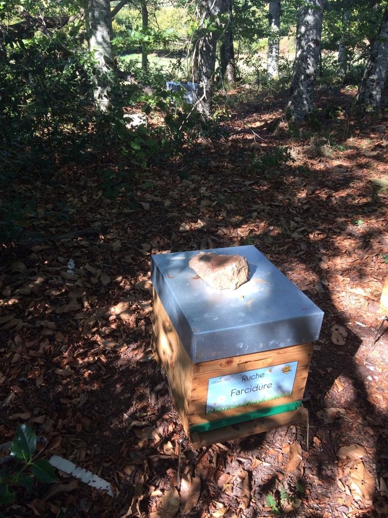 La ruche Farcidure